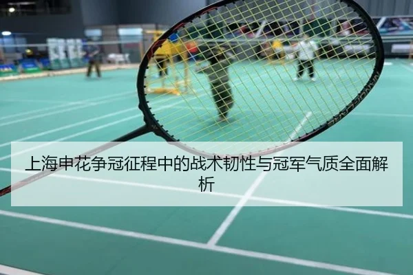 上海申花争冠征程中的战术韧性与冠军气质全面解析