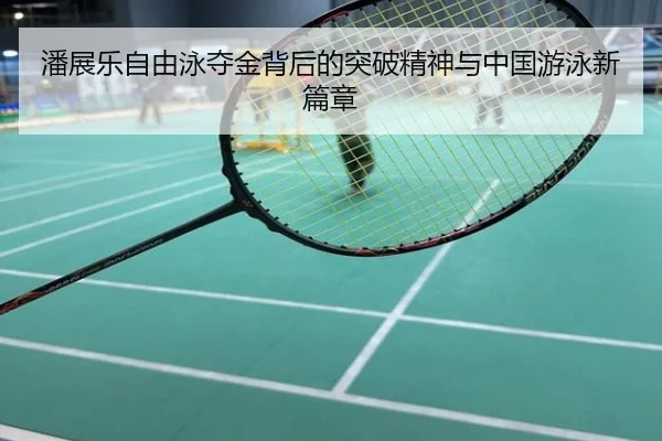 潘展乐自由泳夺金背后的突破精神与中国游泳新篇章